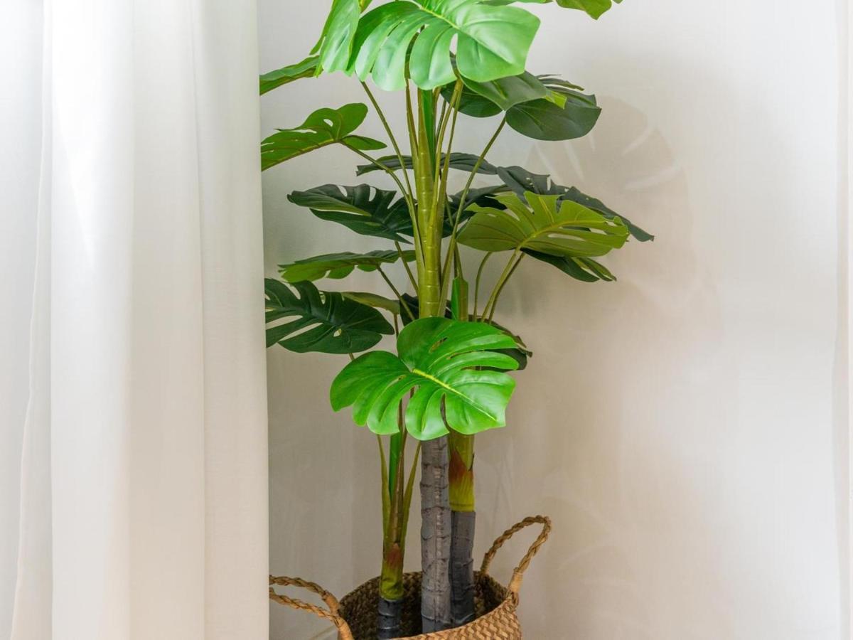 Gorgeous Renovated Apartment 2Br Ac Malaga Ngoại thất bức ảnh